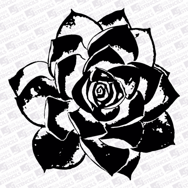 Woestynrosie