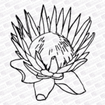 test simple